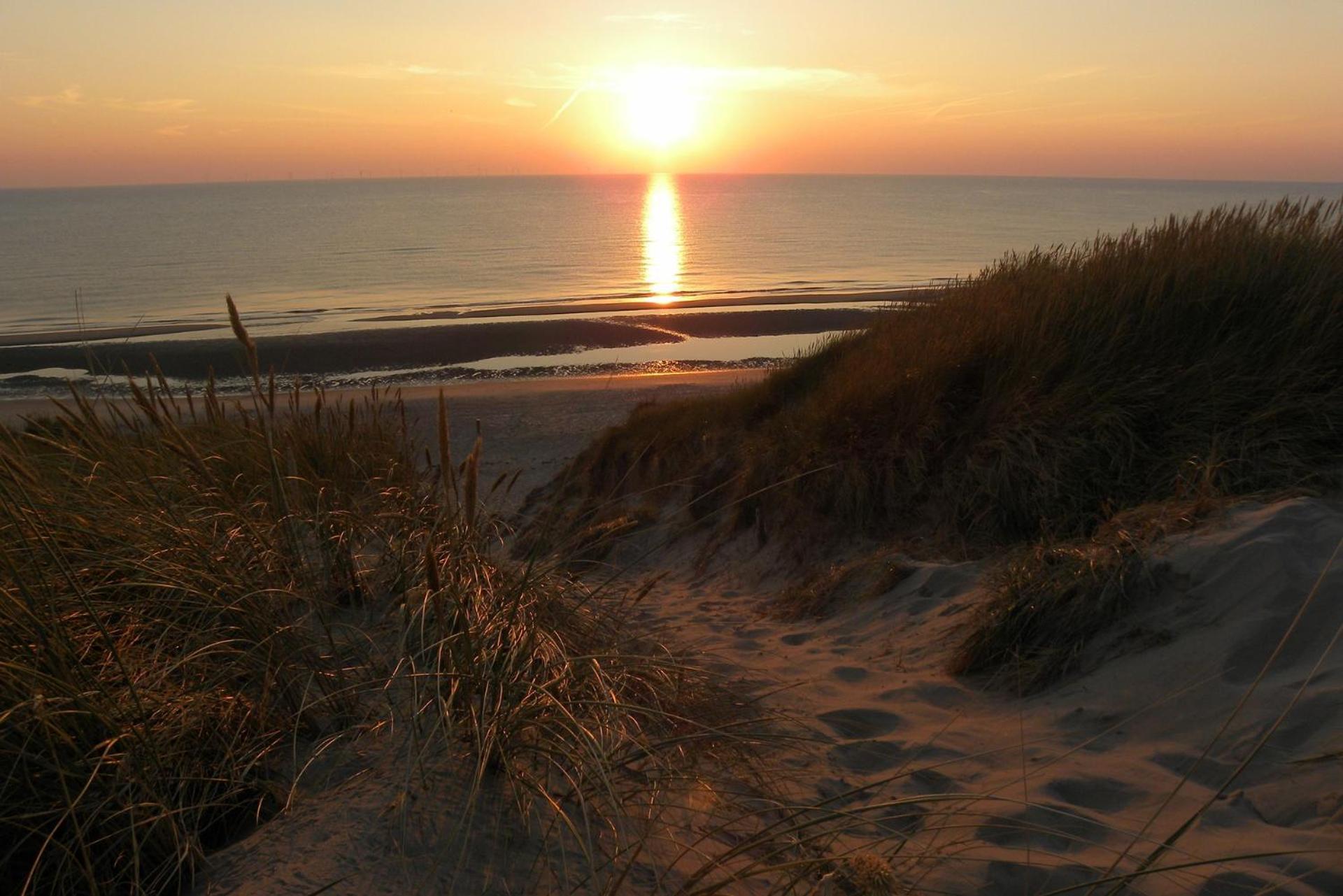 Ferienwohnung Ammophila 1 Egmond aan Zee Exterior foto